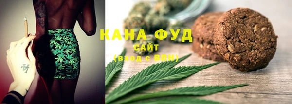 apvp Гусев