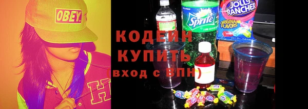индика Гусь-Хрустальный