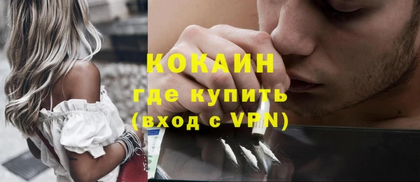 индика Гусь-Хрустальный