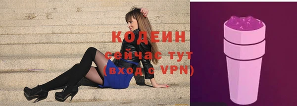 apvp Гусев