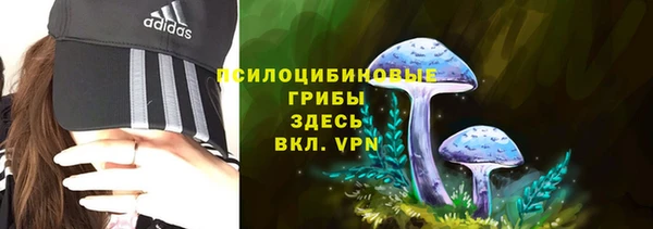 apvp Гусев