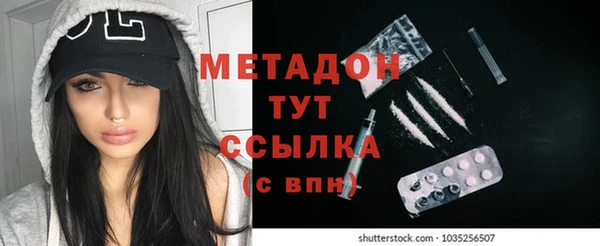 индика Гусь-Хрустальный