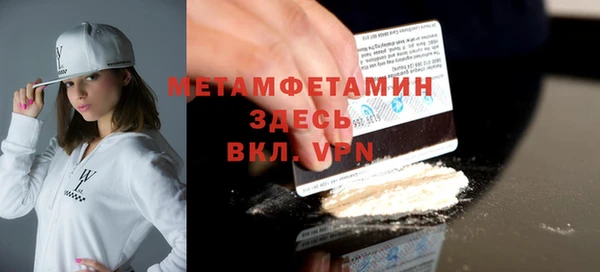индика Гусь-Хрустальный
