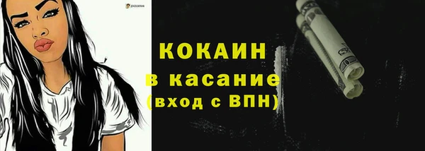 индика Гусь-Хрустальный