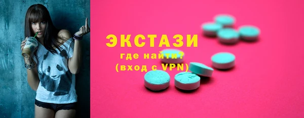 индика Гусь-Хрустальный