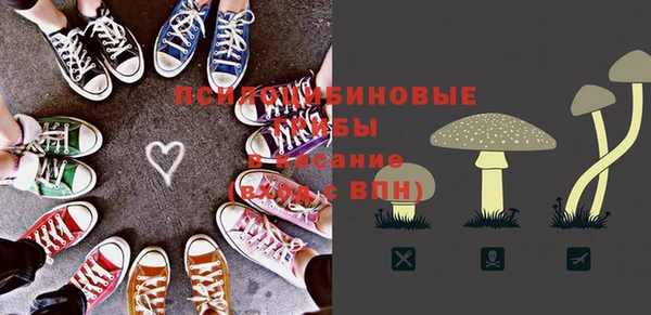индика Гусь-Хрустальный