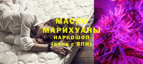 индика Гусь-Хрустальный