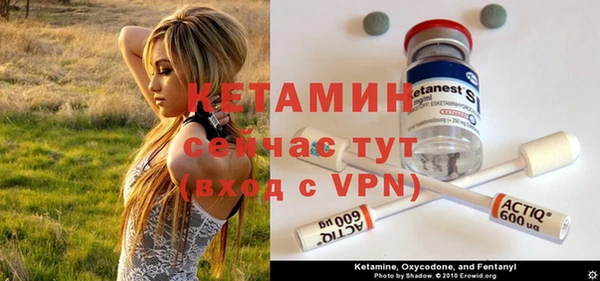индика Гусь-Хрустальный