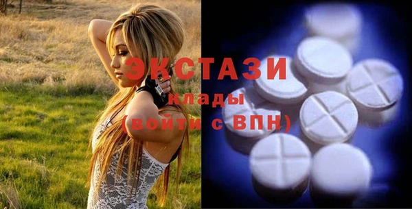apvp Гусев