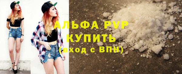 apvp Гусев