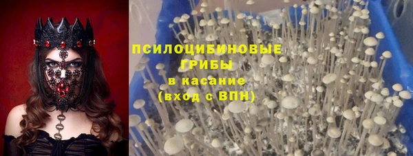 индика Гусь-Хрустальный
