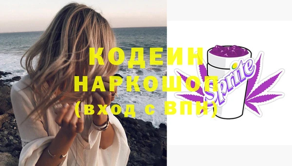 apvp Гусев