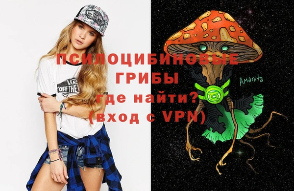 apvp Гусев