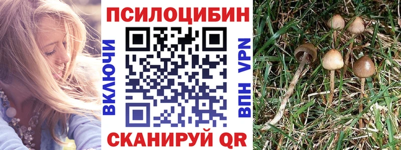 Псилоцибиновые грибы Psilocybe  Духовщина 